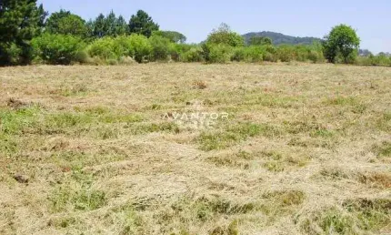 Terreno à venda na Avenida Primeira, 220, Diácono João Luiz Pozzobon, Santa Maria