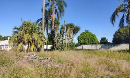 Terreno à venda na Avenida Belém, SN0, Pinheiro Machado, Santa Maria