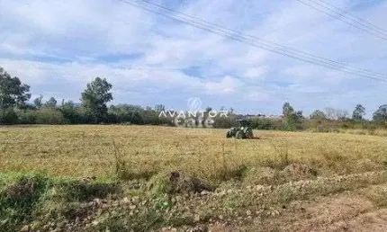 Terreno à venda na Rua Angelim, S N, Diácono João Luiz Pozzobon, Santa Maria
