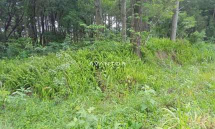 Amplo terreno a venda no bairro Perpétuo Socorro, 855 m²