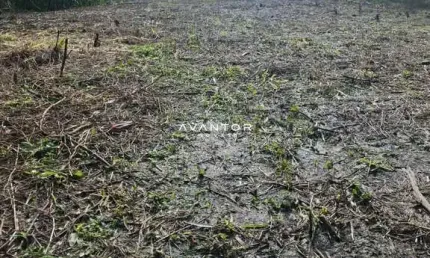 Terreno à venda na Rodovia BR-287, 00, Cerrito, Santa Maria