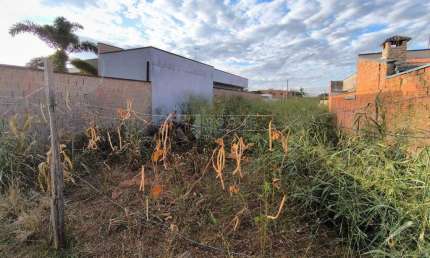 Terreno à venda no bairro Residencial Palmeira Real