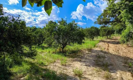 Terreno à venda no Bairro dos Pires, Limeira 