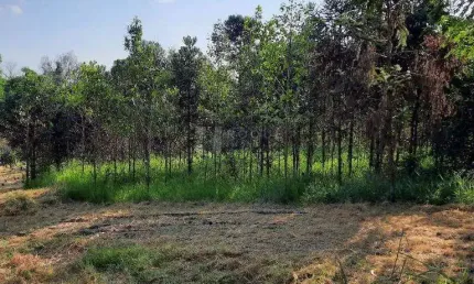 Chácara / sítio à venda na Área Rural de Limeira, Limeira 