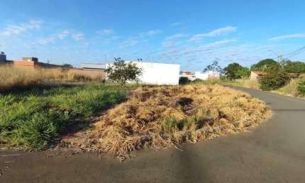 Terreno à venda no bairro Residencial Palmeira Real