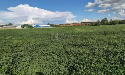 Área a venda em Limeira, com ótima topografia e 45 mil metros