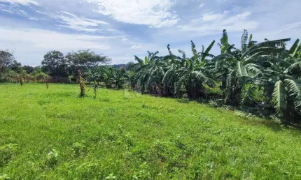 Sítio à Venda – Excelente Localização | Acesso Fácil | Terra Produtiva | 100% Independente