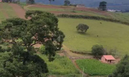 Chácara / sítio com 3 quartos à venda na Zona Rural, Caldas 