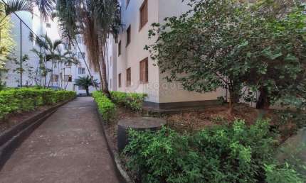Apartamento com 3 quartos para alugar na Vila Paulista, Limeira 