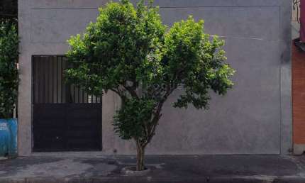 Casa Residencial para aluguel no bairro Vila São João