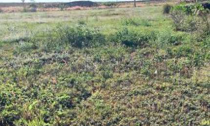 Terreno para aluguel no bairro Residencial Colinas do Engenho I