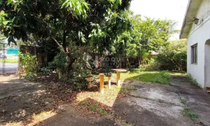 Barracão/galpão à venda no bairro jardim morro branco