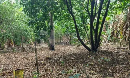 Casa com 2 quartos à venda na Vila Gioto, Limeira 