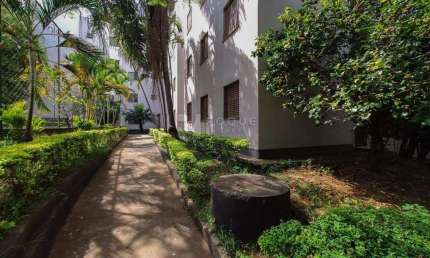 Apartamento com 3 quartos para alugar na Vila Paulista, Limeira 