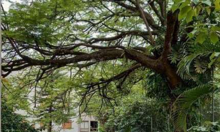 Apartamento com 3 quartos para alugar na Vila Paulista, Limeira 