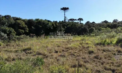 Terreno comercial à venda na Rua Mário Dybas, 117, Cidade Industrial, Curitiba por R$ 10.948.796