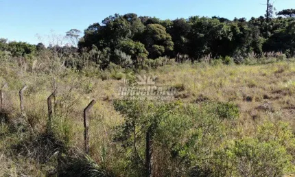 Terreno comercial à venda na Rua Mário Dybas, 111, Cidade Industrial, Curitiba por R$ 7.510.228