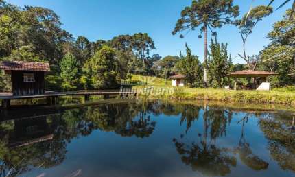 Chácara / sítio com 5 quartos à venda na Rua João Lipinski, Colônia Murici, São José dos Pinhais, 450 m2 por R$ 6.500.000