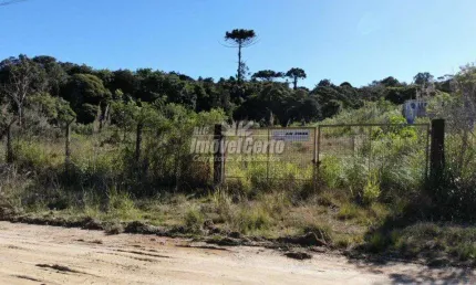 Terreno comercial à venda na Rua Mário Dybas, 117, Cidade Industrial, Curitiba por R$ 5.766.419