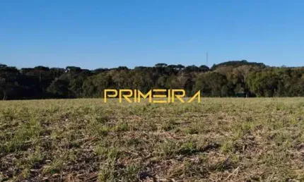 Terreno à venda na São Benedito, 155, Salgadinho, Campo Largo