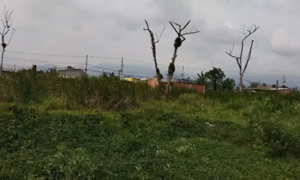 Terreno à venda na Avenida Emílio Manzano Lhorente, Balneário dos Golfinhos, Caraguatatuba