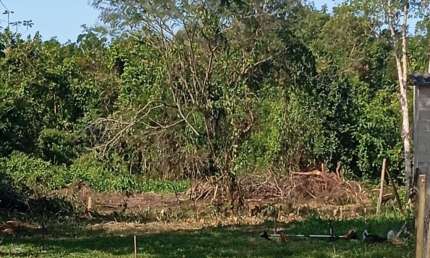 Terreno à venda no Massaguaçu, Caraguatatuba 
