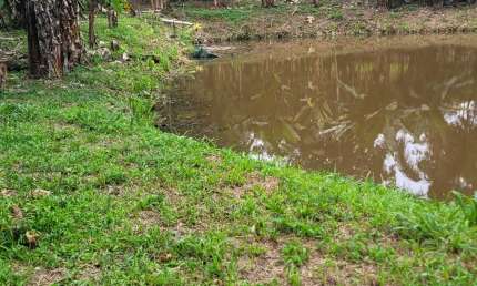Chácara / sítio com 3 quartos à venda na Estrada Sapitanduva, 213, Porto de Cima, Morretes