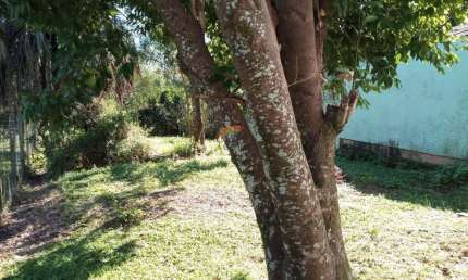 Terreno à venda na Rua Fernando de Noronha, 634, Guarani, Novo Hamburgo