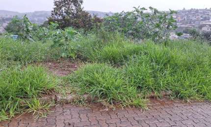 Terreno à venda na Rua Doutor Clóvis Teixeira de Cachapuz, Boa Saúde, Novo Hamburgo