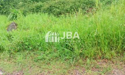 Terreno à venda na Alais De Fátima Zapf, 63, Dom Rodrigo, São José dos Pinhais