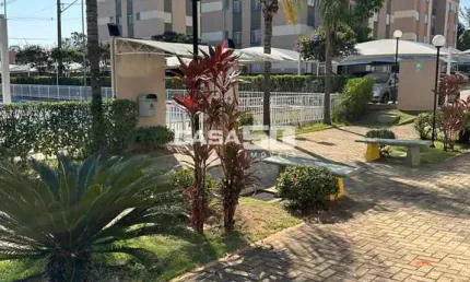Apartamento com 2 quartos à venda na Rua José Vieira dos Santos, 564, Jardim Recanto dos Sonhos, Sumaré, 49 m2 por R$ 249.000
