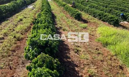 Fazenda à venda no centro, são gotardo , 156 m2 por r$ 35.000.000