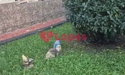 Casa com 7 quartos à venda na Rua Comandante Rúbens Silva, --, Freguesia (Jacarepaguá), Rio de Janeiro