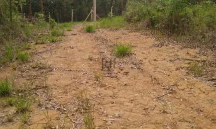 Terreno em Condomínio Terra da Mata com 1000m² pronto para construir , portaria 24 horas