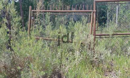 Terreno em condomínio fechado à venda na Estrada Governador Marios Covas, 10118, Estação de Moreiras, Mairinque