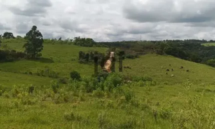 Excelente oportunidade de investimento em uma área rural de 75