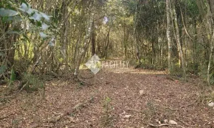 Terreno à venda na Rodovia Jose Bueno de Miranda, 100, Zona Rural, Munhoz por R$ 190.000