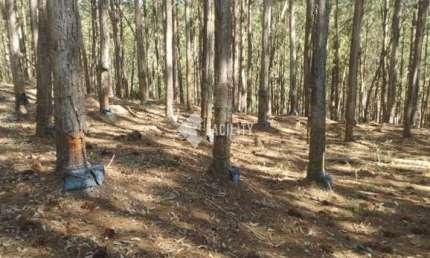 Fazenda à venda na Rua 18, Quadra 16, 100, Ribeirão da Várzea, Itapirapuã Paulista, 2420000 m2 por R$ 10.000.000