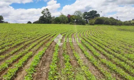 Chácara / sítio com 1 quarto à venda na Campos Salles, 01, Centro, Itararé, 595562000 m2 por R$ 7.400.000