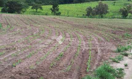 Chácara / sítio com 1 quarto à venda na Rural, 555, Área Rural de Itapetininga, Itapetininga, 3291200 m2 por R$ 2.176.000