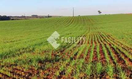 Chácara / sítio com 3 quartos à venda na Área Rural, 200, Área Rural de Tatuí, Tatuí, 895400 m2 por R$ 12.000.000