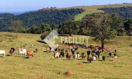 Fazenda à venda na Rua Augusto Cesar 345, 200, Centro, Pardinho, 1 m2 por R$ 30.000.000