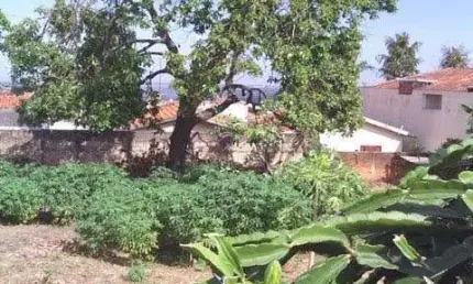 Terreno à venda no Pólon, Marília 