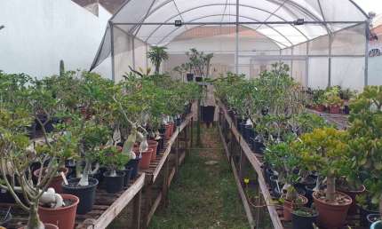 Ponto comercial à venda no Palmital, Marília 