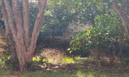 Terreno à venda no Cascata, Marília 