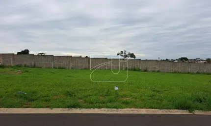 Terreno em Condomínio em Jardim Esmeralda - Marília, SP