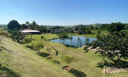 Chácara / sítio com 3 quartos à venda na Zona Rural, Garça 