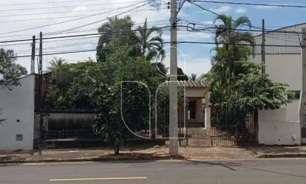 Terreno Residencial em Jardim Maria Izabel  -  Marília