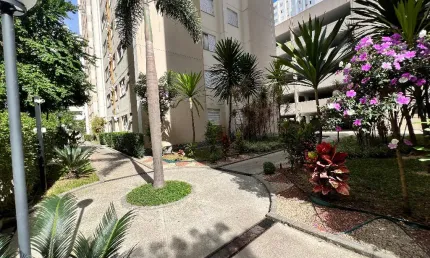 Apartamento à Venda 305 mil Grand Reserva MRV 2 quartos Pirituba