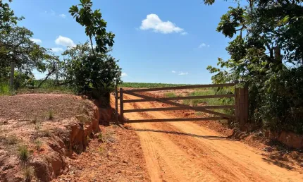 Fazenda à venda na Avenida Rio Branco, Zona Rural, Guiratinga